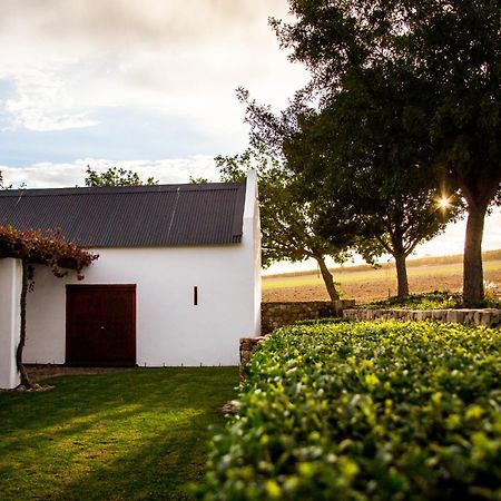 Vineyard Cottage At Bosman Wines Wellington Dış mekan fotoğraf