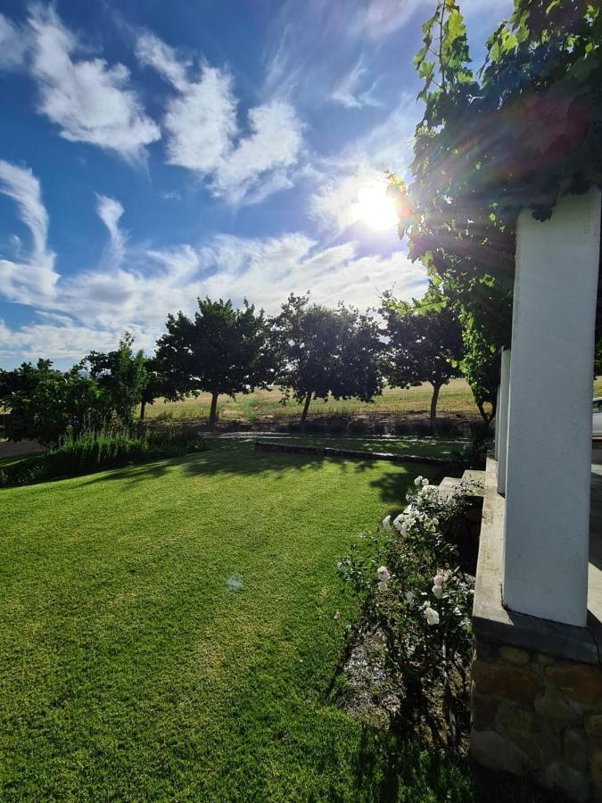Vineyard Cottage At Bosman Wines Wellington Dış mekan fotoğraf