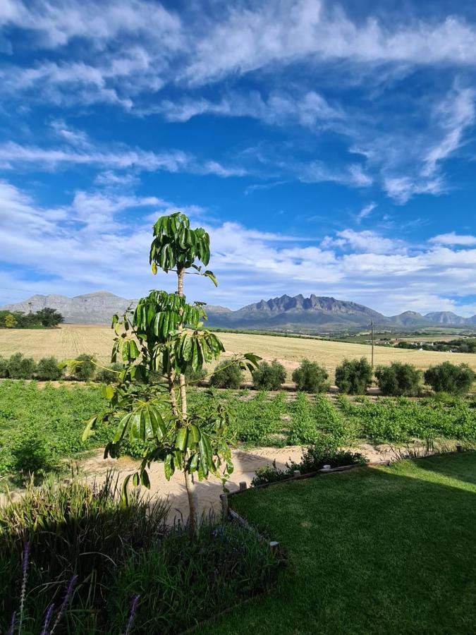 Vineyard Cottage At Bosman Wines Wellington Dış mekan fotoğraf