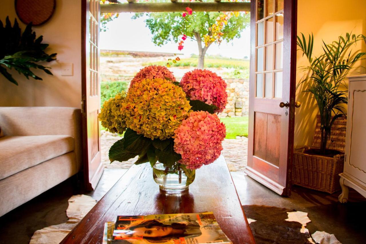 Vineyard Cottage At Bosman Wines Wellington Dış mekan fotoğraf