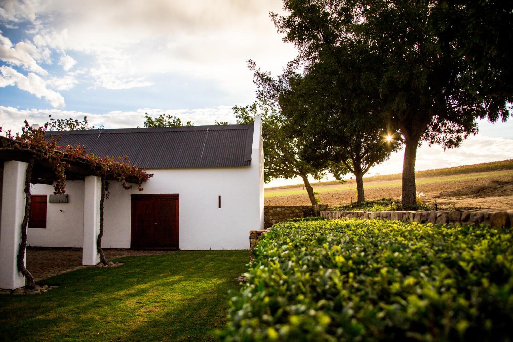 Vineyard Cottage At Bosman Wines Wellington Dış mekan fotoğraf