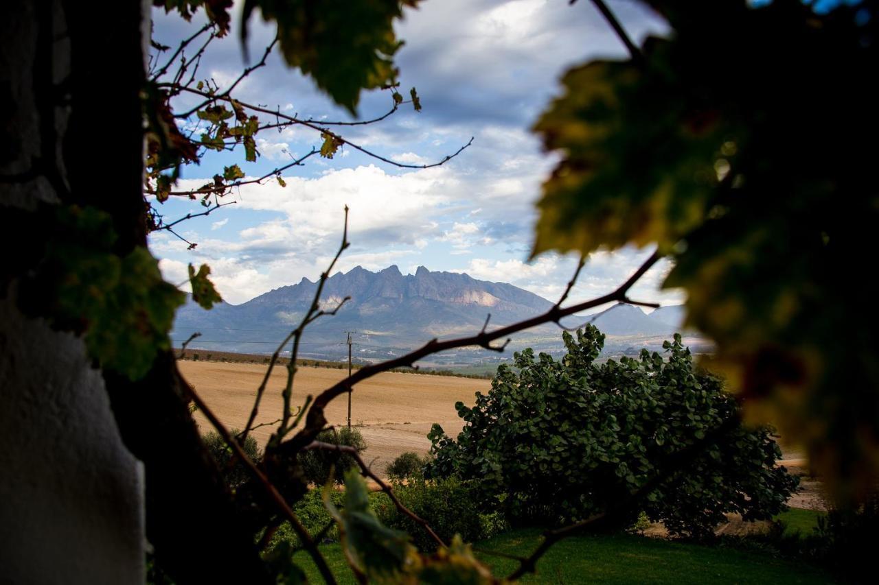Vineyard Cottage At Bosman Wines Wellington Dış mekan fotoğraf
