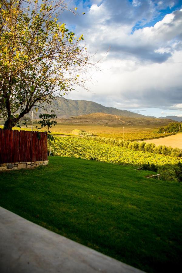 Vineyard Cottage At Bosman Wines Wellington Dış mekan fotoğraf